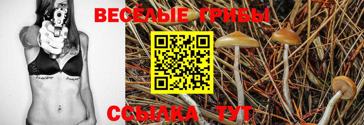 Гусиноозёрск  магазин    Галлюциногенные грибы Cubensis  Вход с VPN  Галлюциногенные грибы прущие грибы 