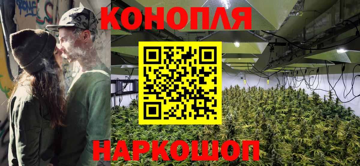 Канабис индика Гусиноозёрск
