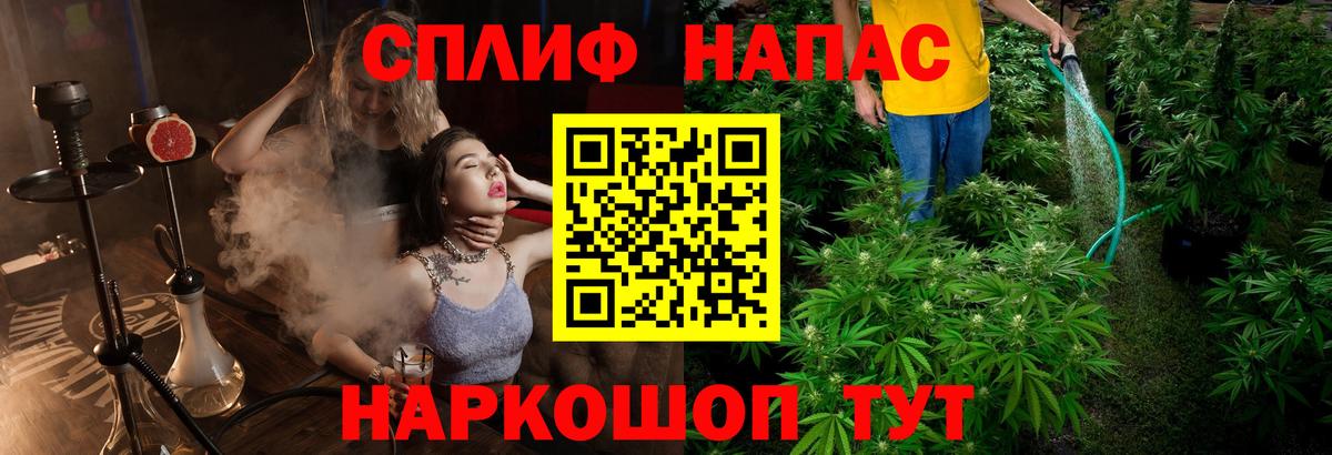 Каннабис тримм  Конопля тримм  Гусиноозёрск  Вход с VPN 